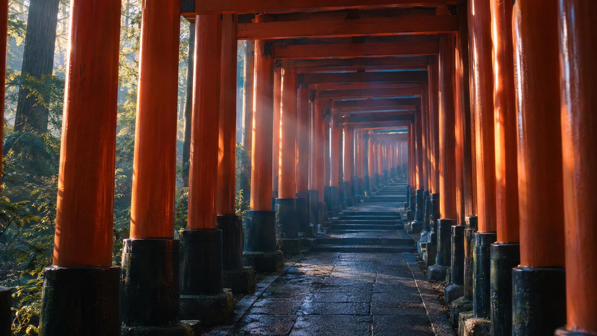 Empty Fushimi Inari Tunnel at Dawn GPT Image 2.5 preview