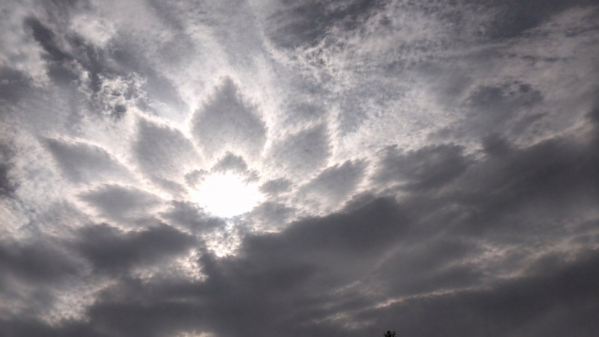 Enhance Sun and Clouds into Lotus Flower GPT Image 2.5 preview