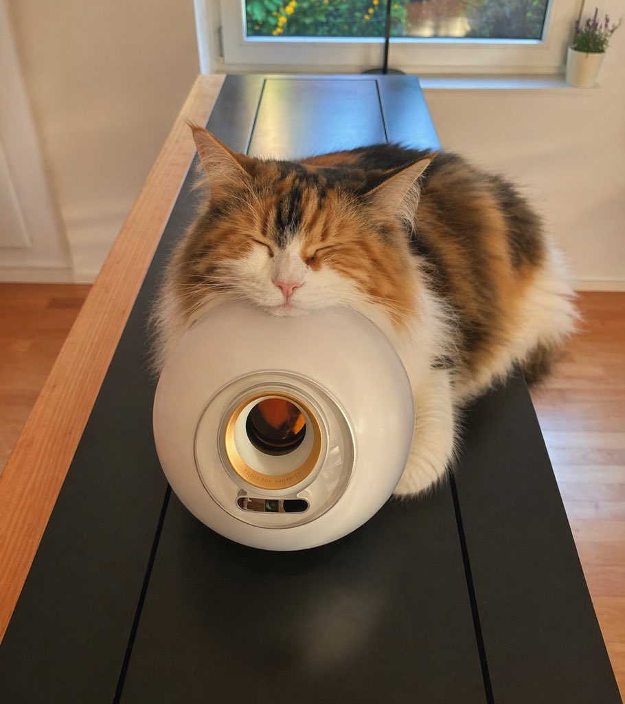 Sleeping Calico on White Appliance preview image