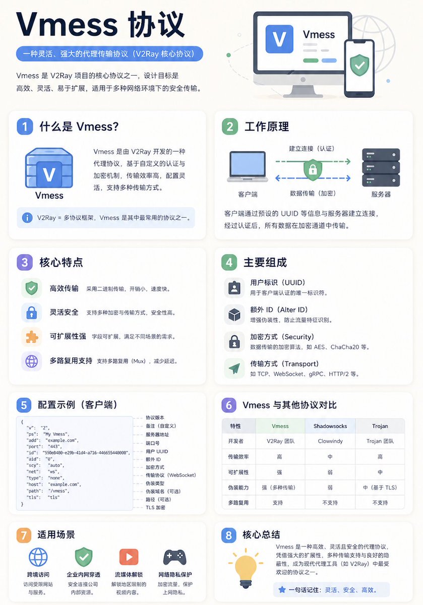 Chinese Vmess Protocol Infographic preview image