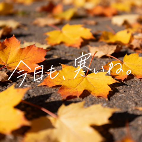 Autumn Leaves with Handwritten Japanese Text preview image