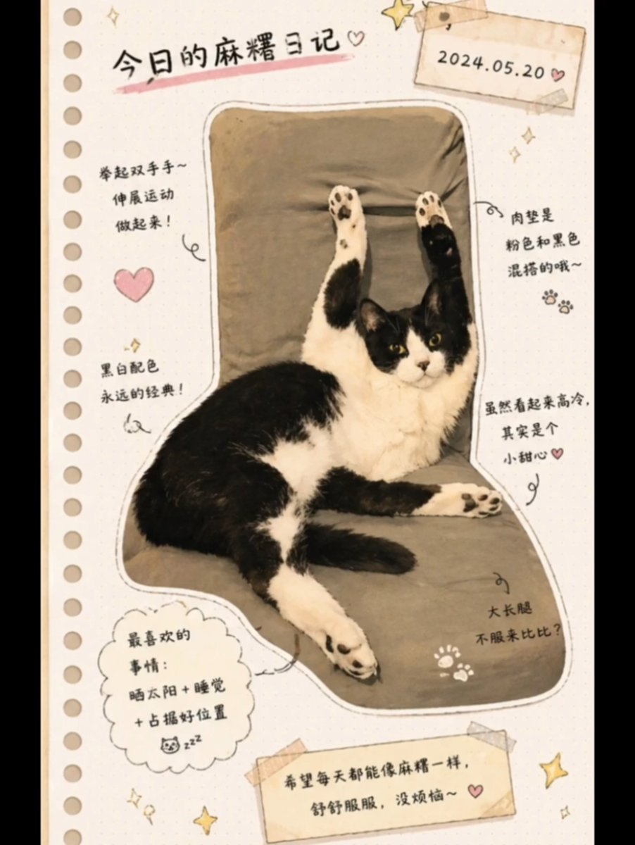 Japanese Journal Style Cat Diary preview image