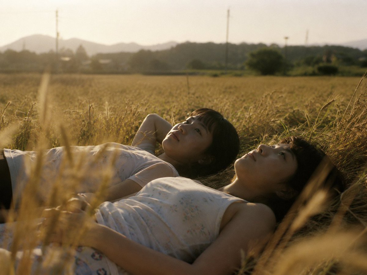 Golden Field Sunset Portrait preview image