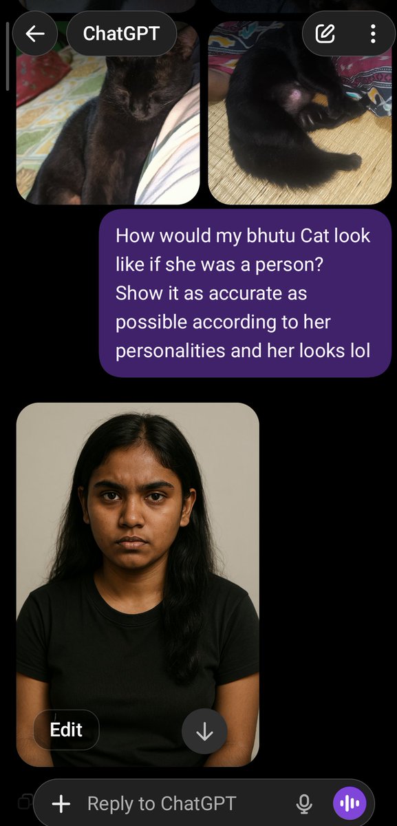 Cat to Person Character Visualization preview image