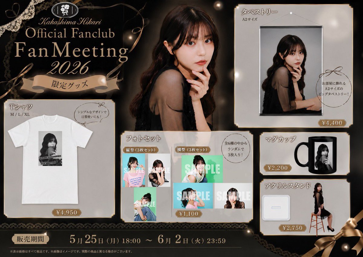 Elegant Fan Meeting Goods Flyer preview image