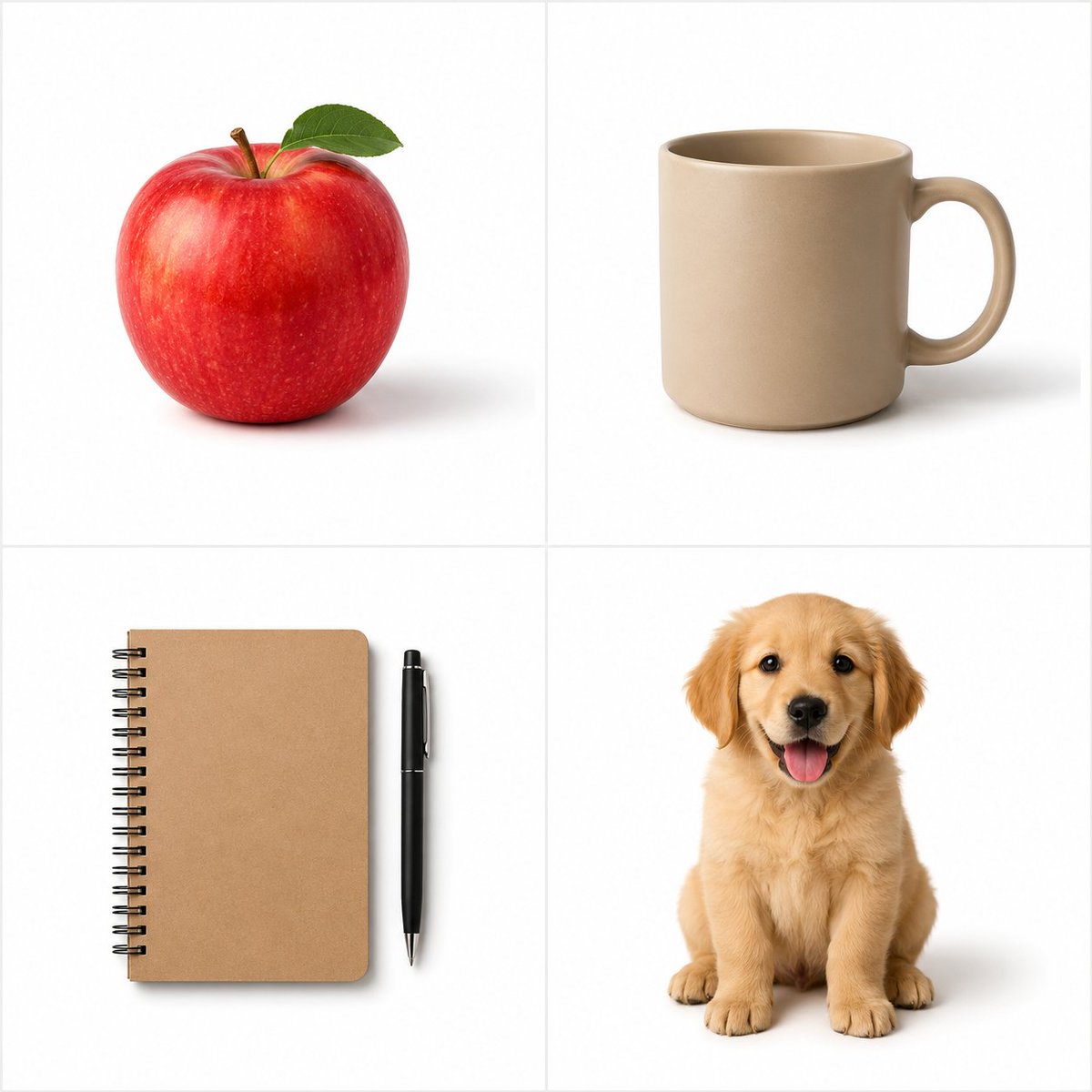 Minimalist Studio Object Photography preview image