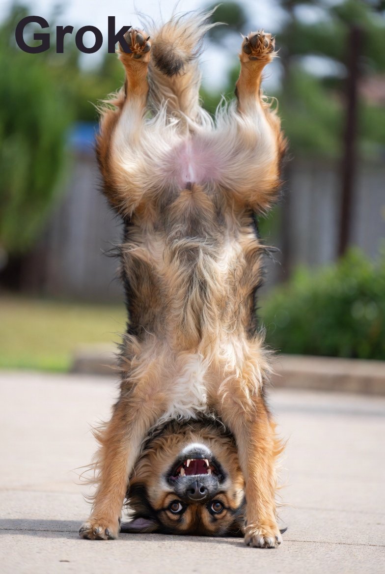 Humorous Dog Handstand Prompt preview image
