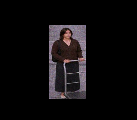 Grainy CCTV Woman With Dolly preview image