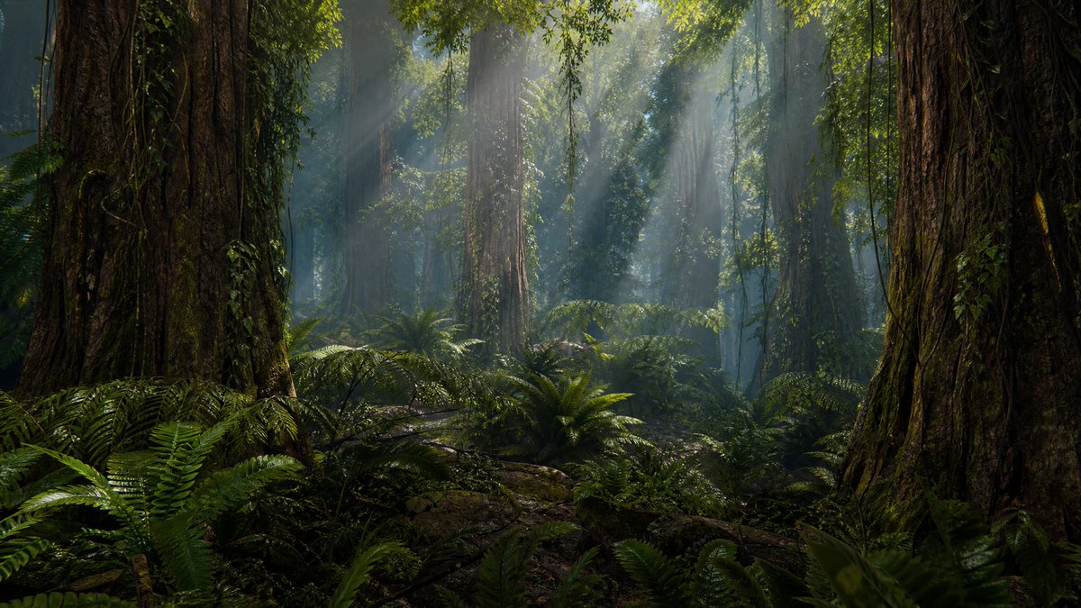 Prehistoric Redwood Jungle preview image