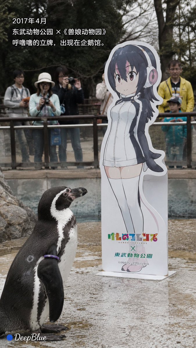 Documentary Photo Sequence of Penguin Story preview image