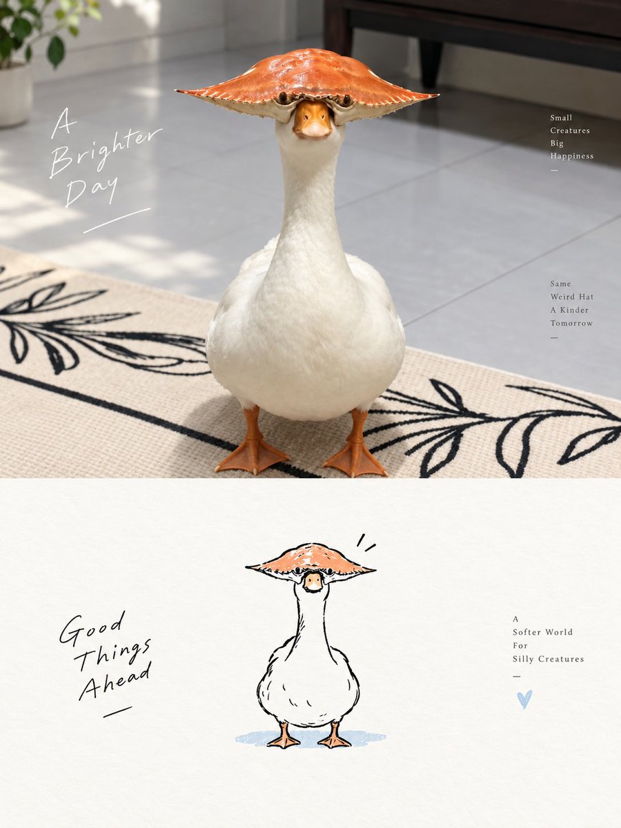 Duck Wearing Crab Shell Hat preview image