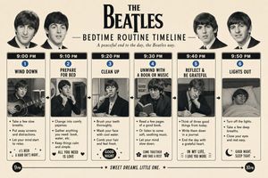 Themed daily timeline infographic preview image