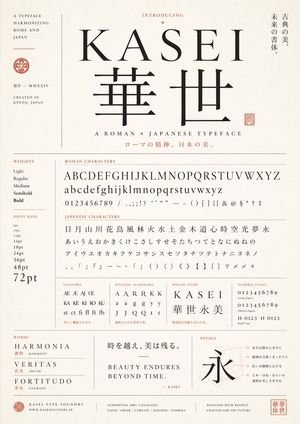 Japanese Roman font sample poster preview image