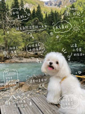 Cute dog travel diary doodle preview image