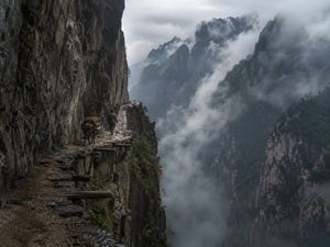 Preview image of the misty cliff mule trail