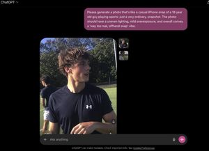 Basic prompt: Please generate a photo that looks like a preview image.