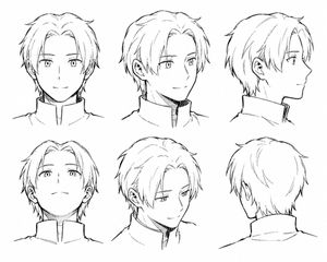 Manga male hairstyle reference image (preview image)