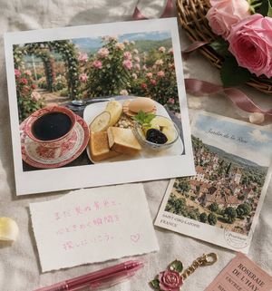Rose Garden Travel Postcard Flat Lay Photography Preview Image